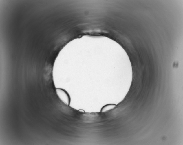 X0000101990480200808151428