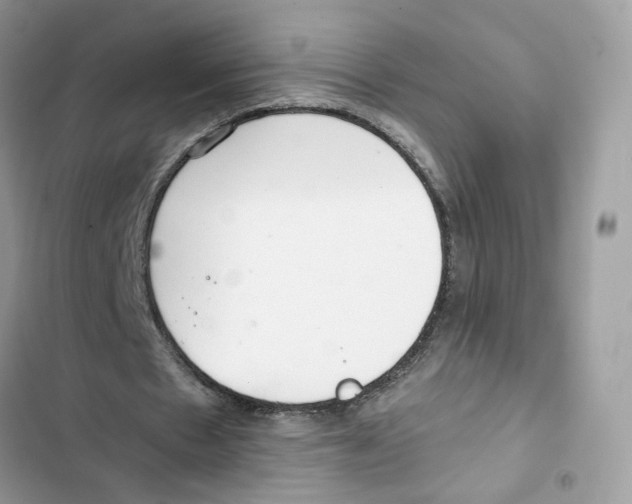 X0000101990481200808151427