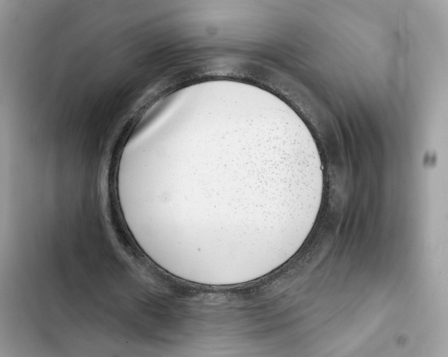 X0000101990482200808151427