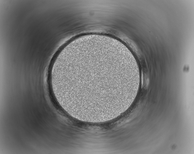X0000101990483200808151427