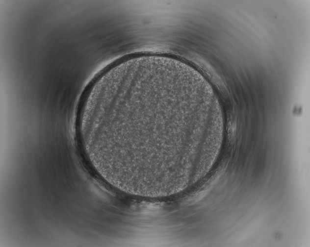 X0000101990484200808151427