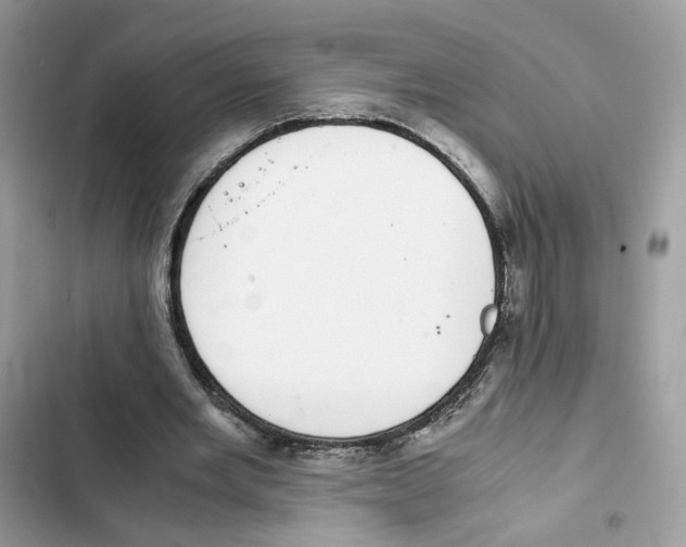 X0000101990485200808151427