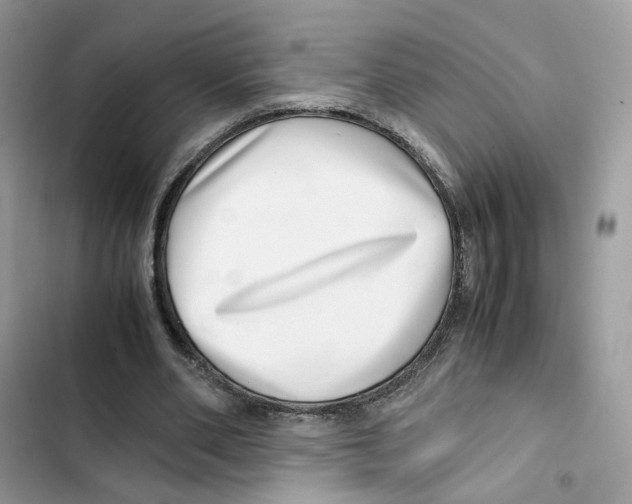 X0000101990486200808151427