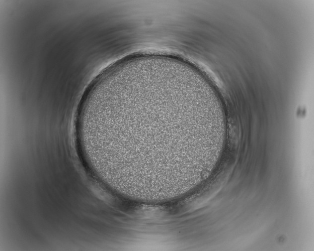 X0000101990487200808151427