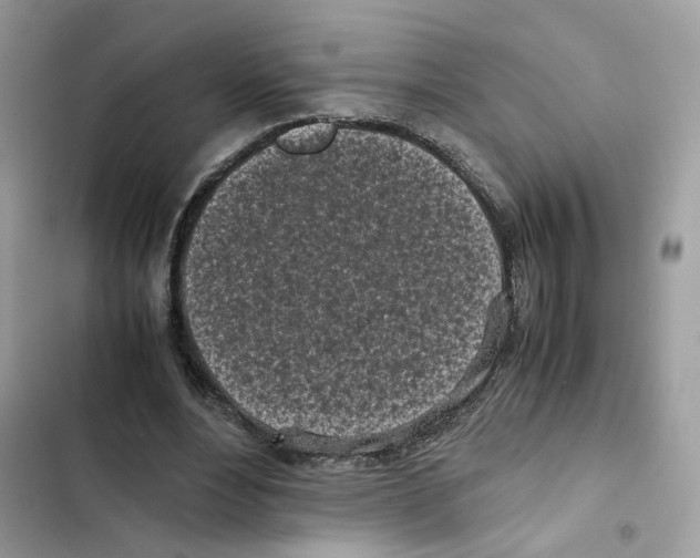 X0000101990488200808151427