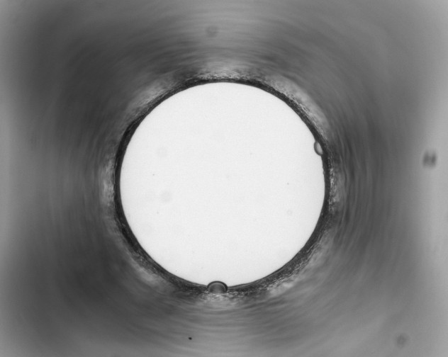 X0000101990489200808151427