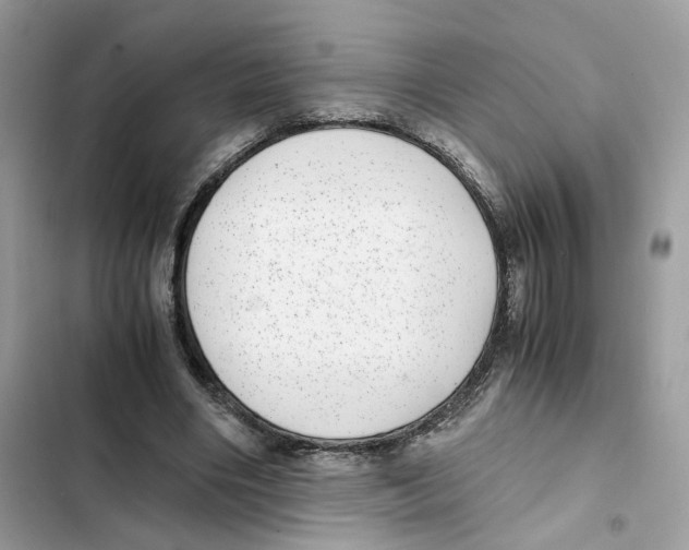 X0000101990490200808151427