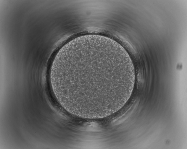 X0000101990492200808151427