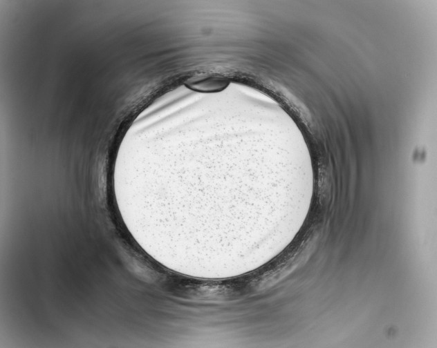 X0000101990493200808151427