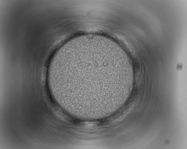 X0000101990495200808151427