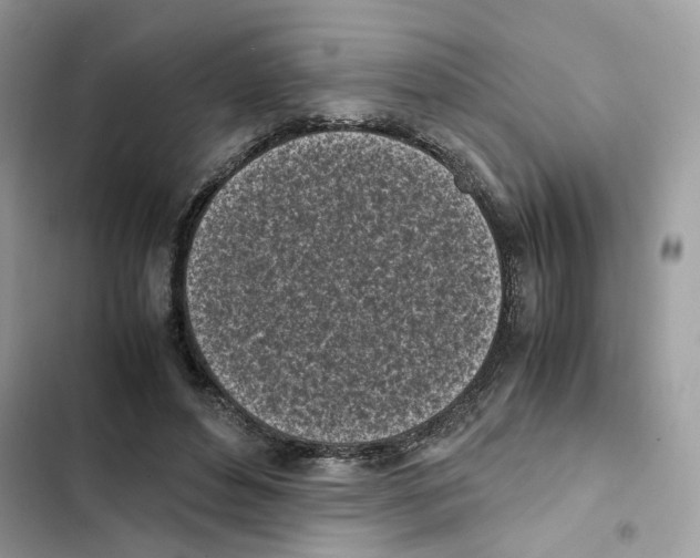 X0000101990496200808151427