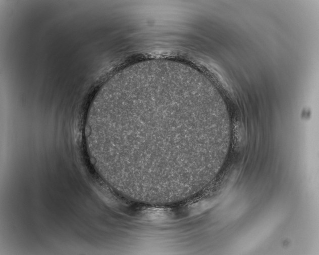 X0000101990499200808151427
