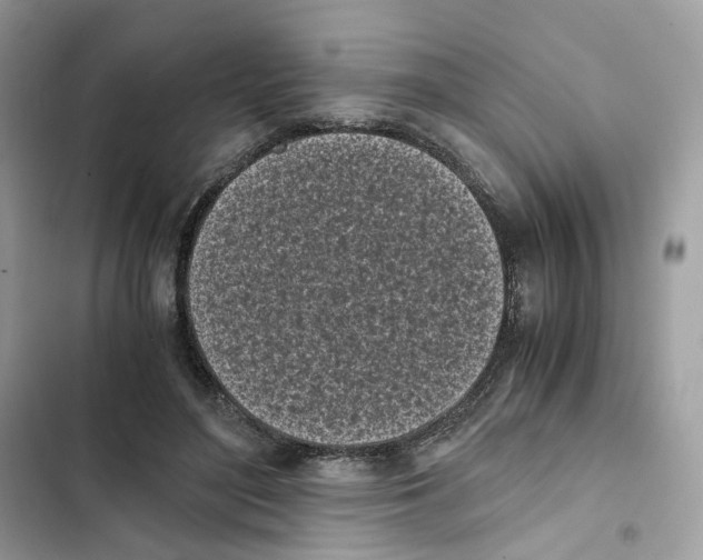 X0000101990500200808151427