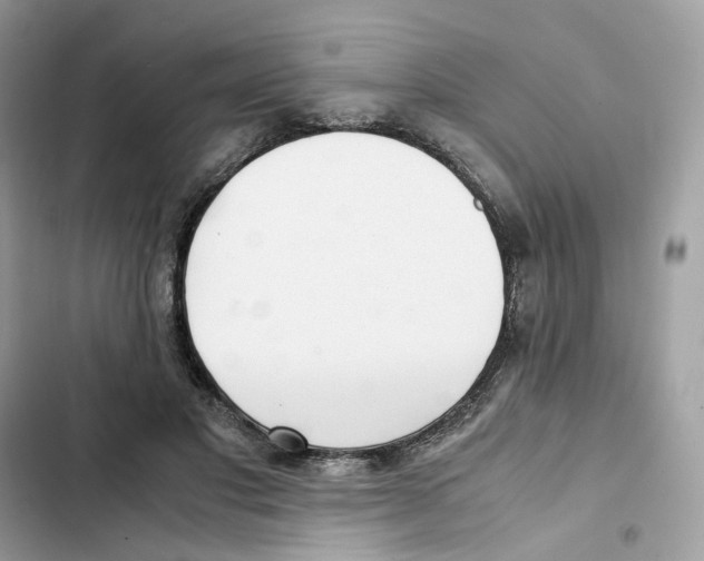 X0000101990501200808151427