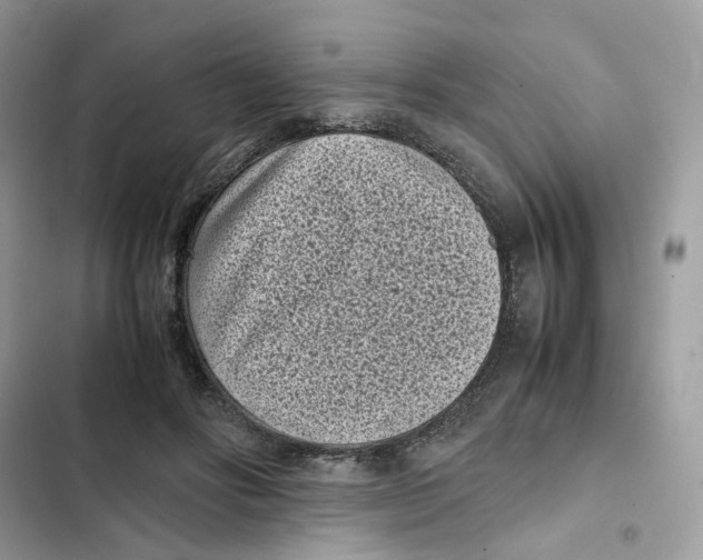 X0000101990502200808151427