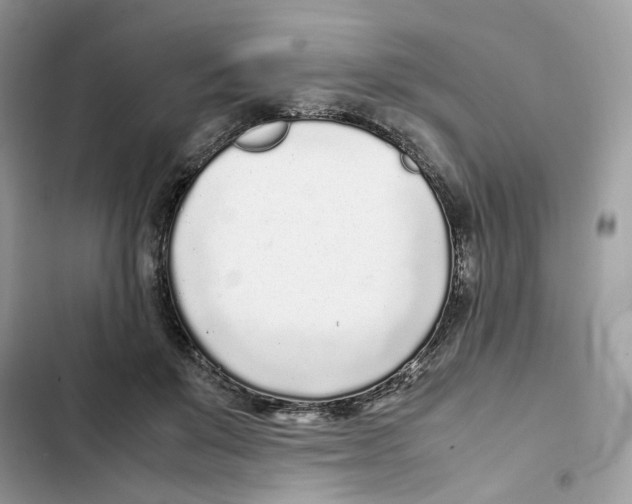X0000101990503200808151427