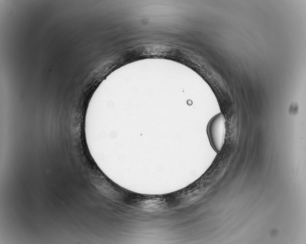 X0000101990505200808151427