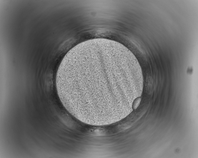X0000101990506200808151427