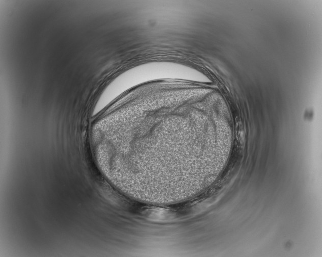 X0000101990507200808151427
