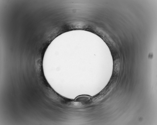 X0000101990509200808151427