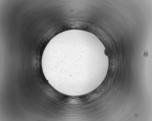 X0000101990510200808151427