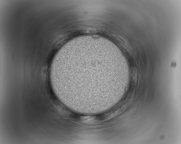 X0000101990511200808151427