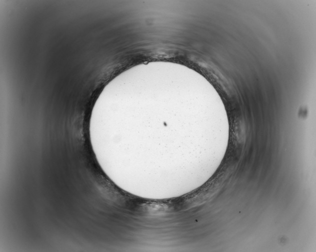 X0000101990512200808151427