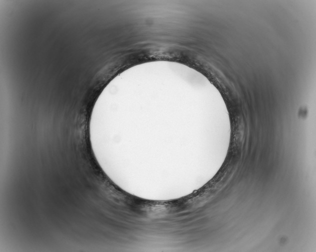 X0000101990513200808151427