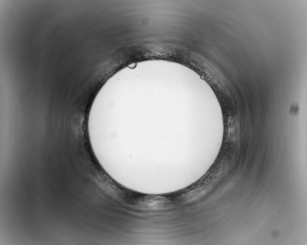 X0000101990514200808151427