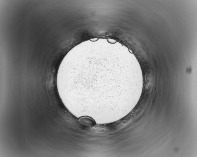 X0000101990515200808151427