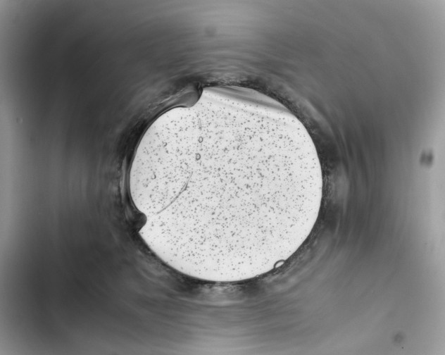 X0000101990517200808151427