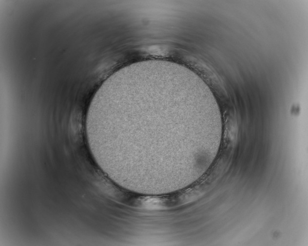 X0000101990518200808151427