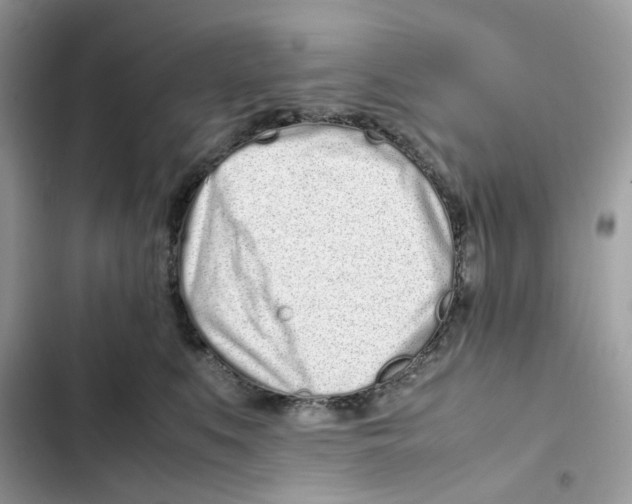 X0000101990519200808151427