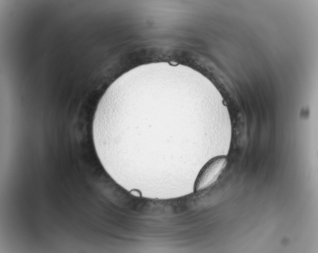 X0000101990520200808151427