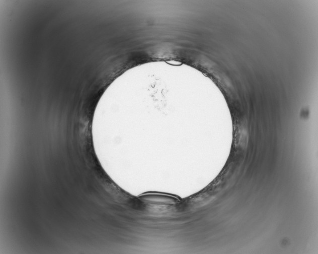 X0000101990521200808151427