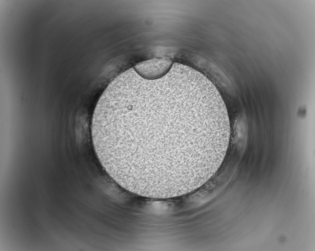 X0000101990522200808151427