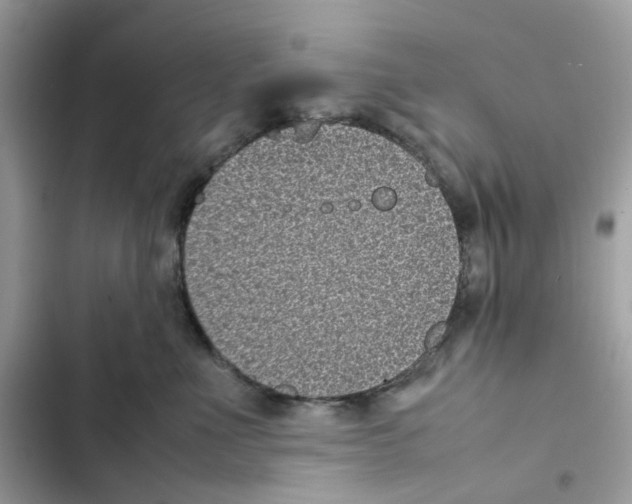 X0000101990523200808151427