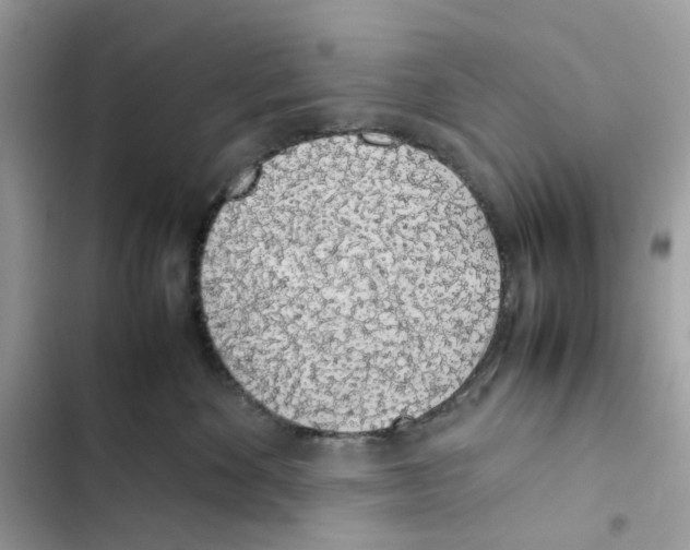 X0000101990524200808151427