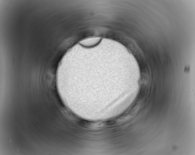 X0000101990527200808151427