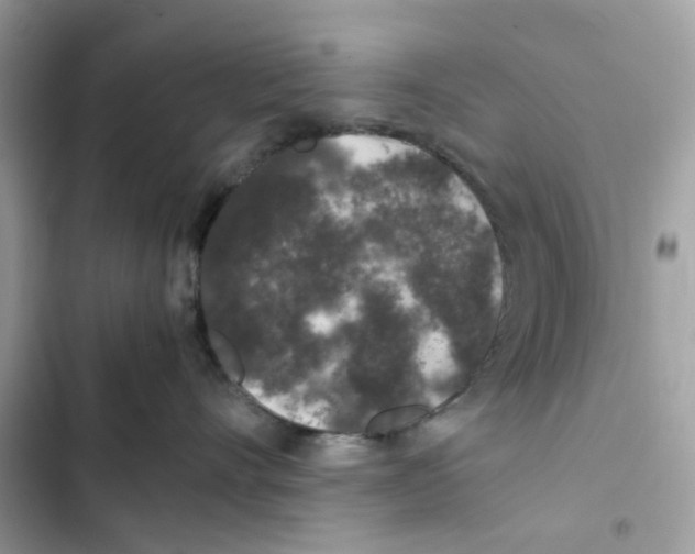 X0000101990528200808151427