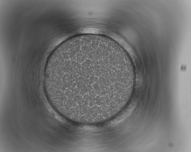 X0000101990529200808151426