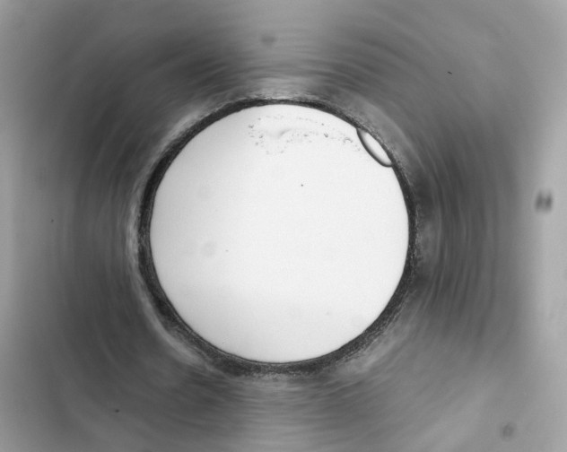 X0000101990530200808151426