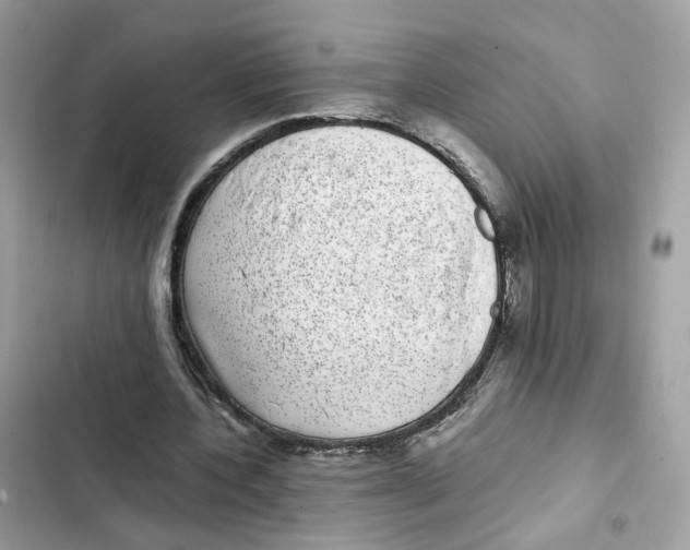 X0000101990532200808151426