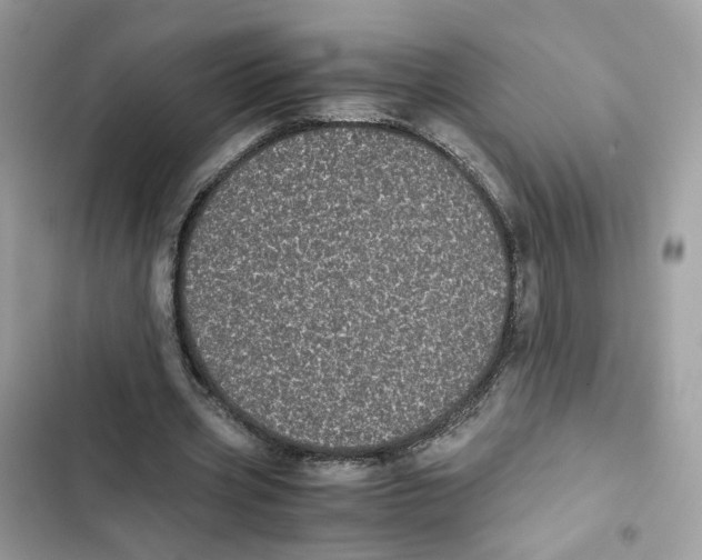 X0000101990533200808151426