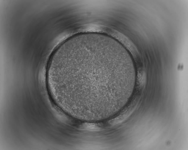 X0000101990534200808151426