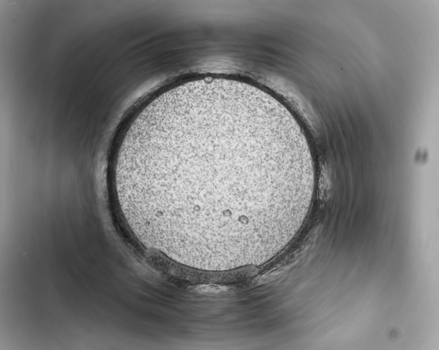 X0000101990535200808151426