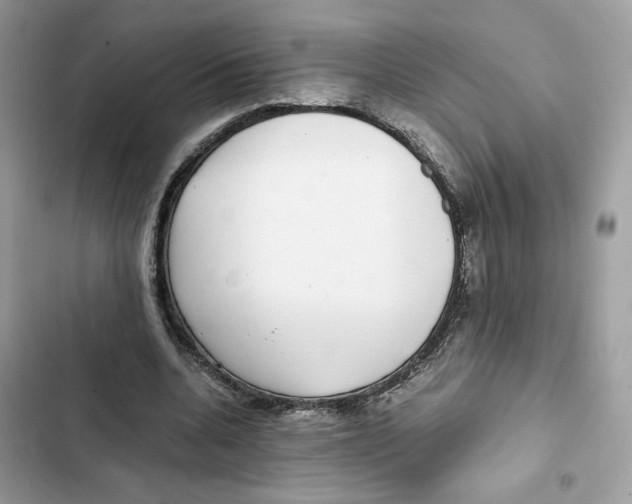 X0000101990536200808151426