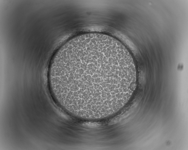 X0000101990537200808151426