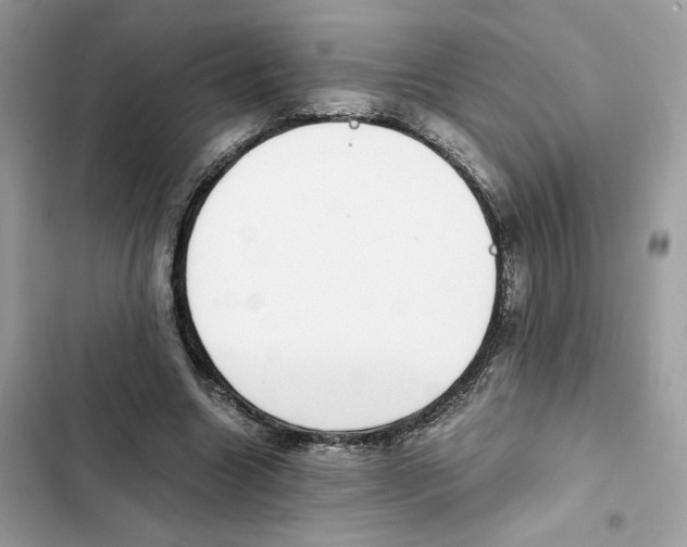X0000101990538200808151426
