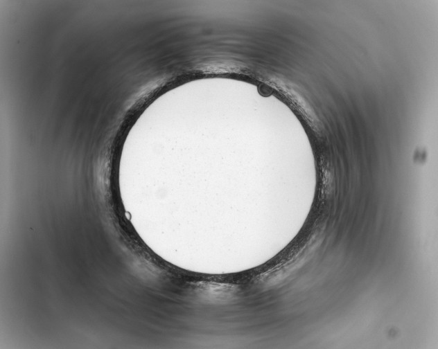 X0000101990539200808151426